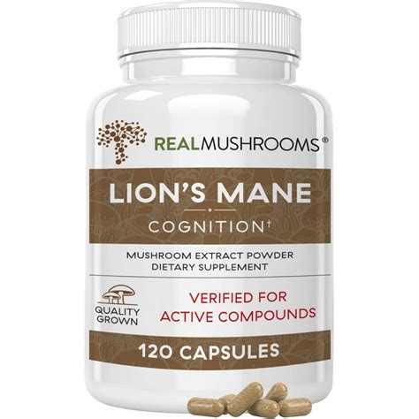 The Best Lion S Mane Supplement The Brain Health Fungi