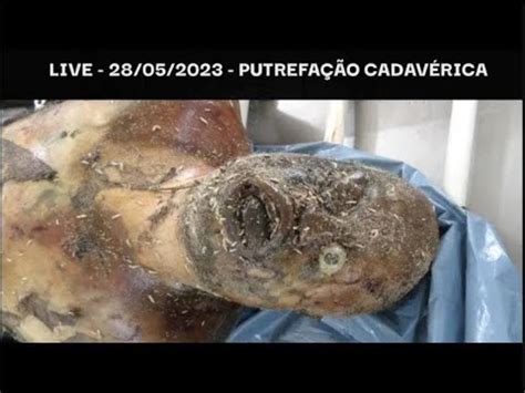 Corpo Em Decomposição - Quais são as fases da putrefação do corpo humano - YouTube