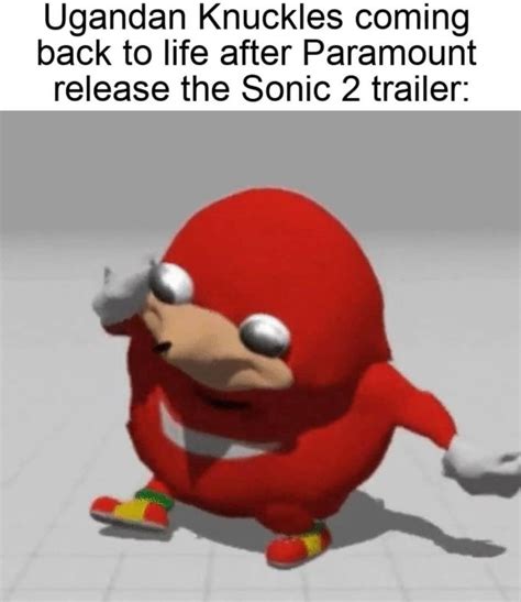 Ugandan Knuckles In Sonic 2 Ugandan Knuckles Know Your Meme