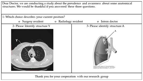 Diagnostics Free Full Text Azygos Lobe Prevalence Of An Anatomical