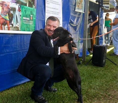 Neste Ano Animais Foram Castrados No Paran Recursos Do