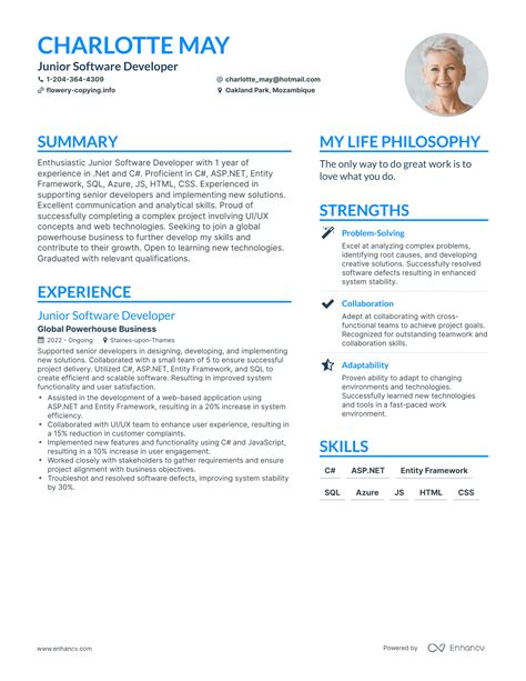 Junior Software Developer Resume Examples How To Guide For