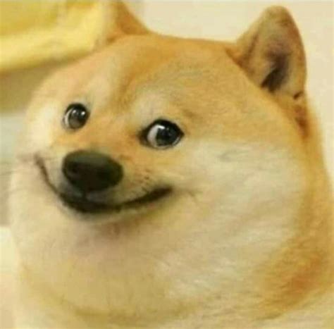 Doge Blank Template - Imgflip