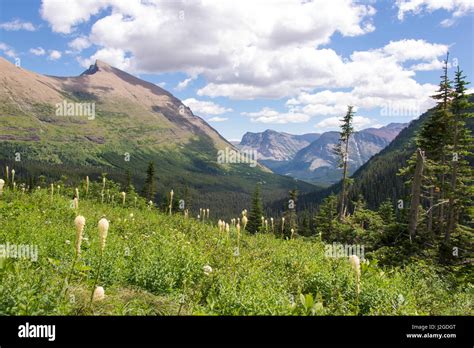 Glacier National Park Many Glacier Area Iceberg Lake Trail Vistas