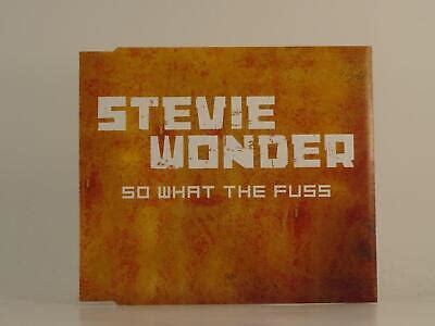 Stevie Wonder So What The Fuss H Track Promo Cd Single Picture