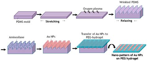 Polymers Free Full Text Nano Contact Transfer With Gold