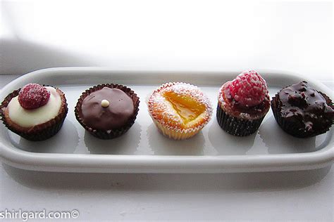 Bite-Size Desserts – ShirlGard