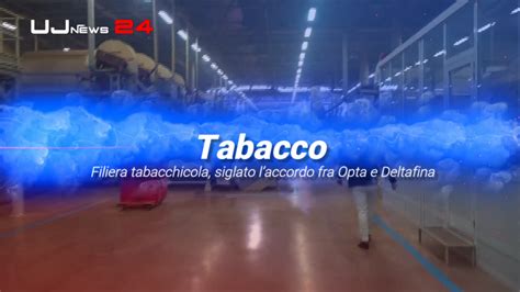 Filiera Tabacchicola Siglato Laccordo Fra Opta E Deltafina