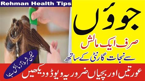 How To Get Rid Of Head Lice Sir Ki Juen Khatam Minute Me Head Lice