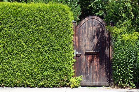 Free Images Tree Grass Fence Lawn Green Goal Wooden Door Shrub