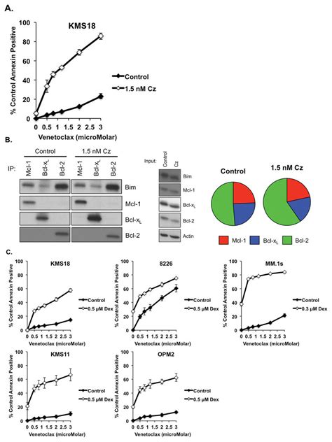 Venetoclax Is Highly Active In Combination Therapy Download