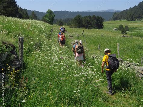 Randonn E En Montagne Solidaire Avec Handicap En Joelette Fauteuil