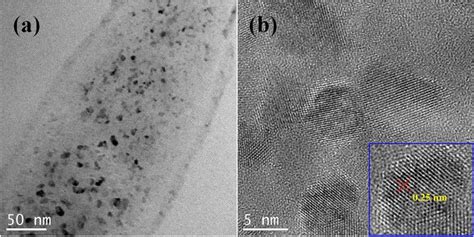 A High Resolution Tem Image Of Fe3o4gf B Close View Of Lattice Fringe