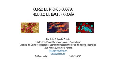 Introducción a la bacteriología clase IOVANNY CRUZ OJEDA uDocz