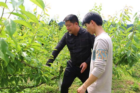 发展“农旅种养” 有效助力乡村振兴新浪四川新浪网