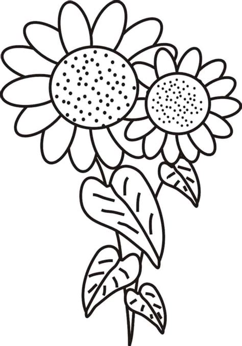 Simple Sunflower Bouquet Coloring Pages Free Sunflower Coloring Pages