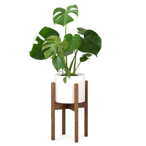 Fox Fern Mid Century Modern Plant Stand Indoor Plant Stand Corner