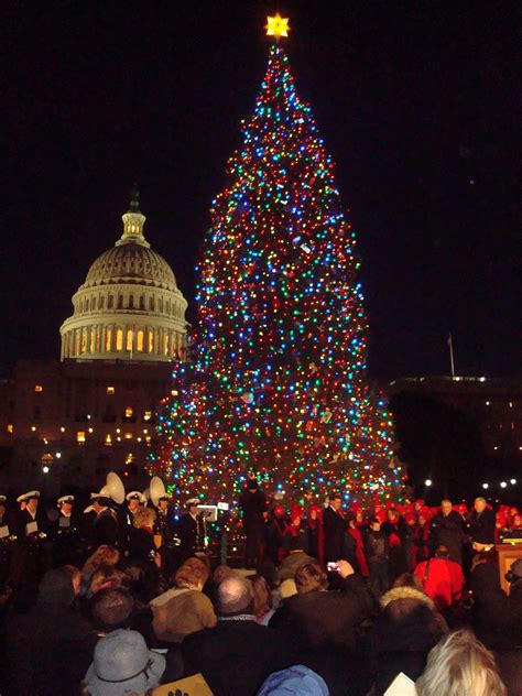 Capitol Christmas Tree 2010: Wyoming's Tree Lights Up Washington, DC!