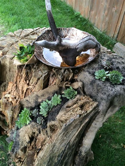 Tree Stump Bird Bath Bird Bath Tree Stump Bird House Feeder