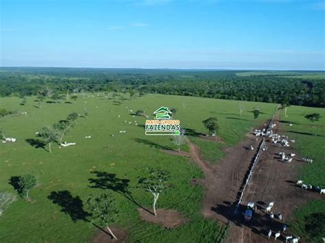 Mato Grosso Fazendas Hectares Venda No Vale Do Araguaia Mt