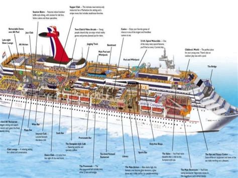 Cruise Ship Anatomy Cruise Gallery