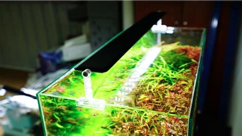 Chihiros LED A2/A II Series Light – AquaSnails