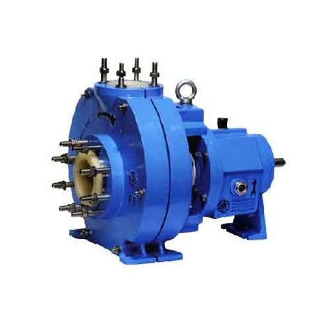 Blue Pvdf Pump At Best Price In Delhi Delhi Soltech Pumps