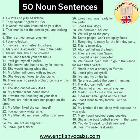 20 Noun Sentences Examples - English Vocabs