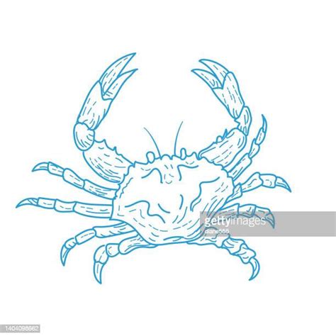 270 Crab Outline Stock Photos, High-Res Pictures, and Images - Getty Images