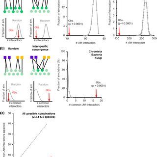 ath degree  ath proteins interacting    effectors