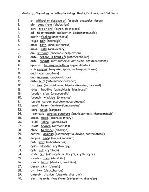 Anatomy And Physiology Roots Prefixes And Suffixes