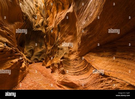 Grand Staircase Escalante Eroded Entrada Sandstone Slot Canyon Willis