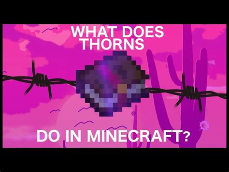 How the Thorns enchantment works in Minecraft