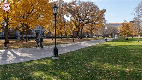 Seasonal Zoom And Phone Backgrounds Uchicago Creative