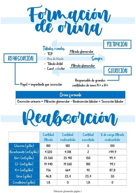 Filtraci N Glomerular Ana Cabrera Udocz