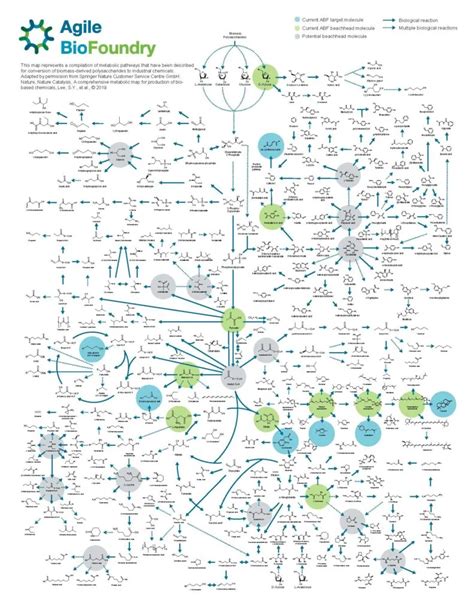 Agile Biofoundry Metabolic Map