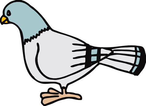 Pigeon Clip Art Clip Art Library