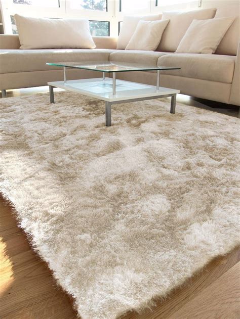 A Living Room With A Couch Coffee Table And White Rug On The Hardwood