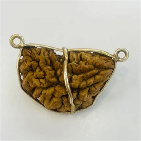 Multiple Use 1 Mukhi Rudraksha Silver Pendant At Best Price In Jaipur