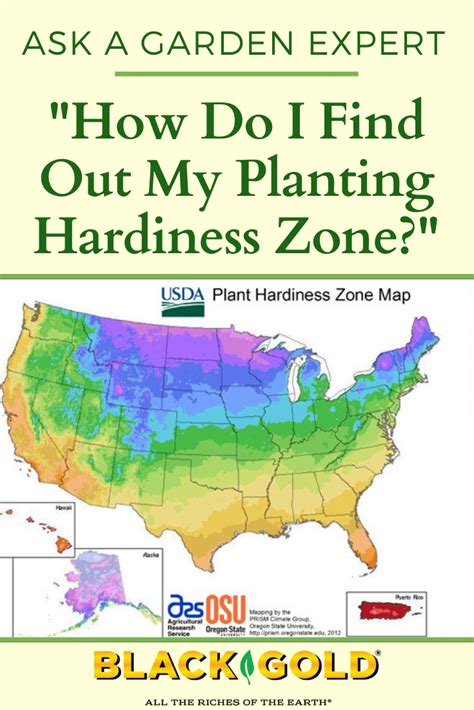 What Gardening Zone By Zip Code – Mxzim.com