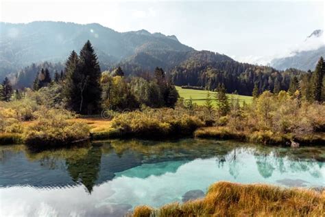 Turquoise Lake in Zelenci Springs Nature Reserve, Kranjska Gora, Slovenia Slovenija Stock Photo ...