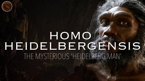 Homo Heidelbergensis The Mysterious Heidelberg Man Prehistoric