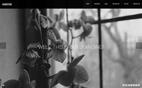 32 Photography Portfolio Themes - DesignM.ag