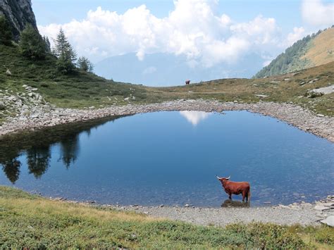 Campeia Passo Da Arvogno Giro Della Pioda Di Crana Per Il Passo