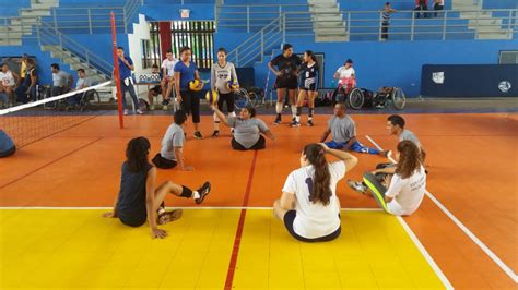 Historia Del Voleibol Sentado Todo Lo Que Necesita Conocer