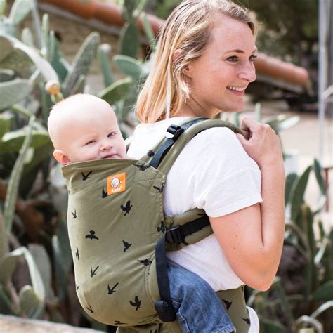 Am I Ready for a Baby Tula Toddler Carrier? – Baby Tula US