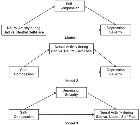 Three Mediation Models Were Set Up To Explore The Relationship Between Download Scientific