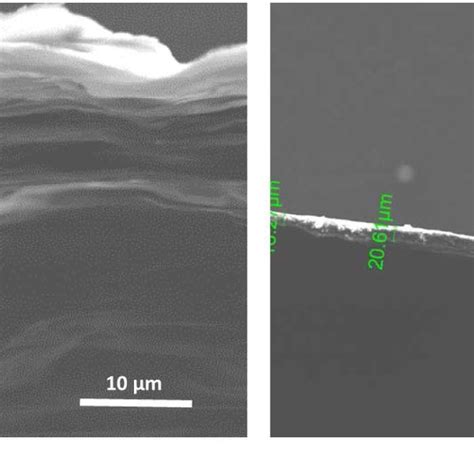 Protonation Of Chitosan With Reaction With Acetic Acid Adapted From Download Scientific