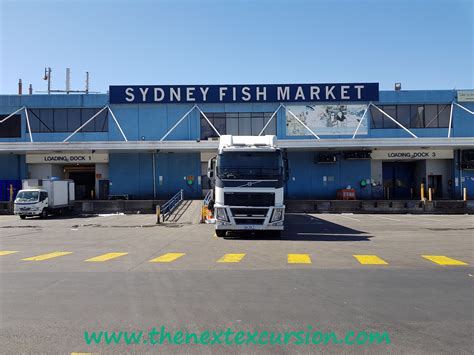 Visiting the Sydney Fish Market – The Next Excursion