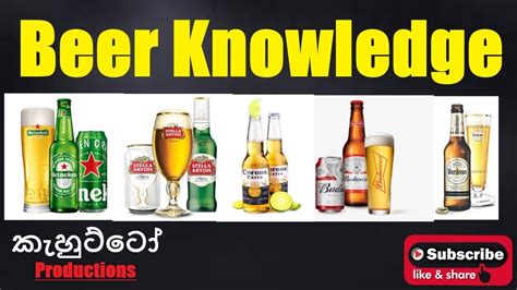 Beer Knowledge Basic Part 2 Easy Way To Remember Before Drink You Should Know It Youtube